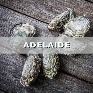 
            
                Load image into Gallery viewer, adelaide-fresh-oyster-sales-coffin-bay-pacific-oysters
            
        